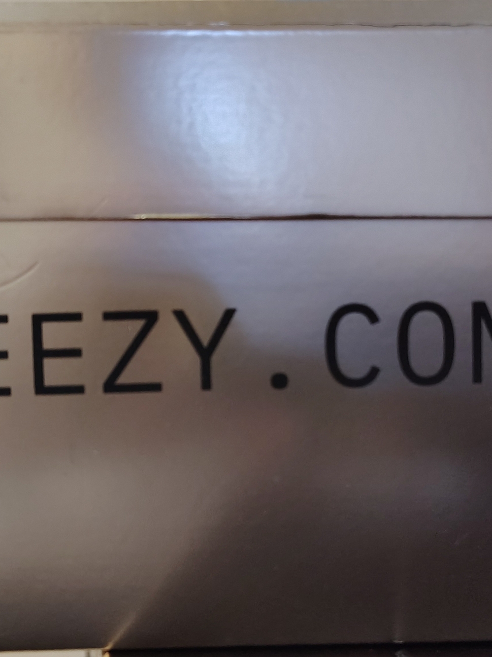 Yeezy Silver Box  with Black Yeezy Sneakers Men